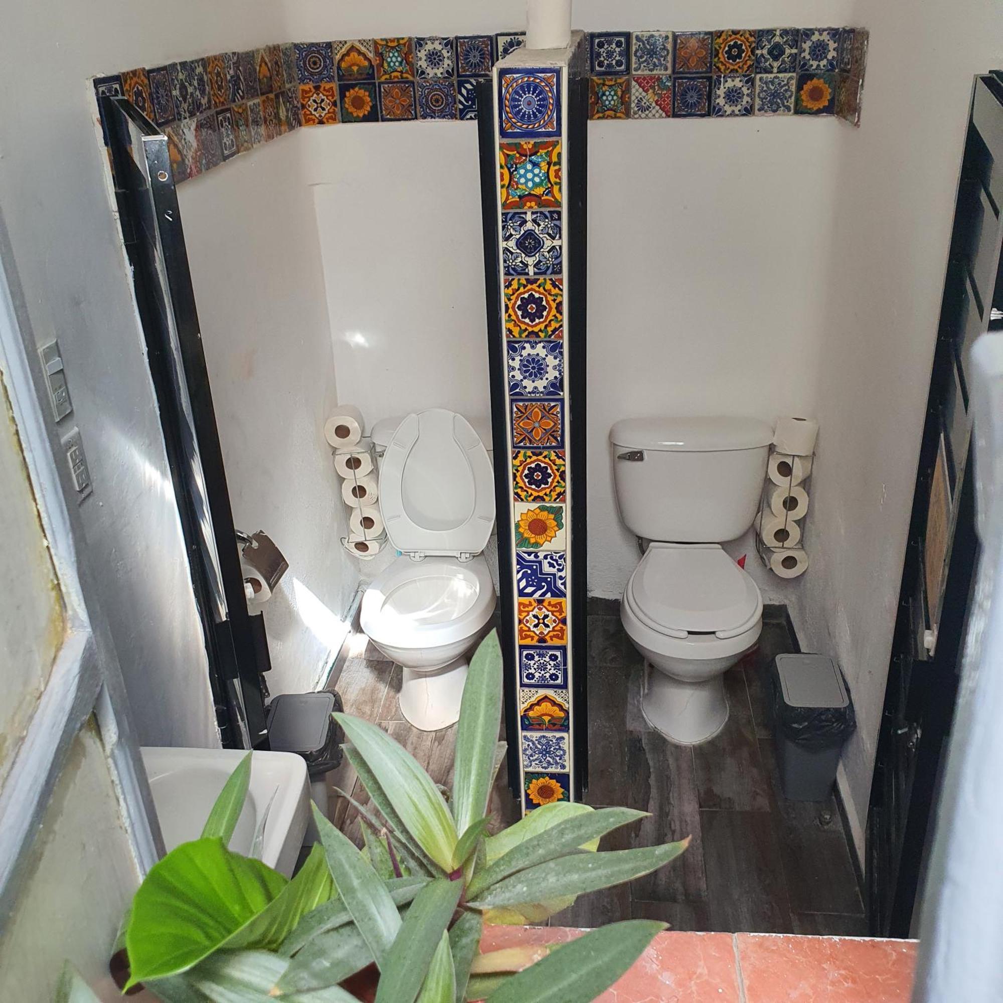 Sukha Hostel San Luis San Luis Potosí Exteriér fotografie